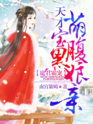 魔君霸寵：天才萌寶腹黑娘親