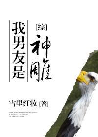 [綜]我男友是神雕