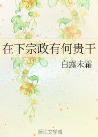 在下宗政有何貴幹