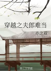 穿越之夫郎難當