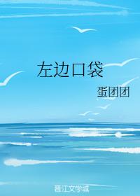 左邊口袋
