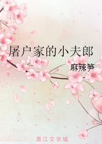 屠戶家的小夫郎