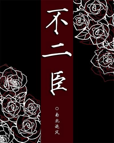 不二臣