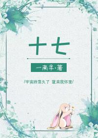 十七