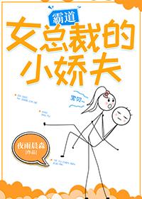 霸道女總裁的小嬌夫[娛樂圈]