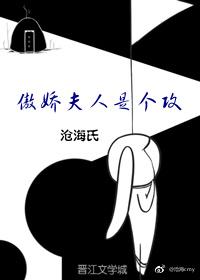傲嬌夫人是個攻