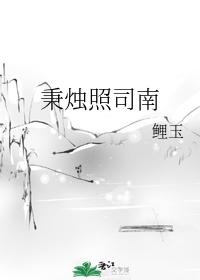 秉燭照司南