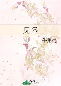 見怪