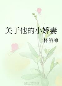 關于他的小嬌妻