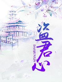 盜君心
