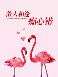 故人相逢癡心錯