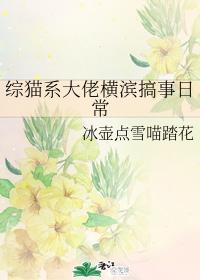 綜貓系大佬橫濱搞事日常