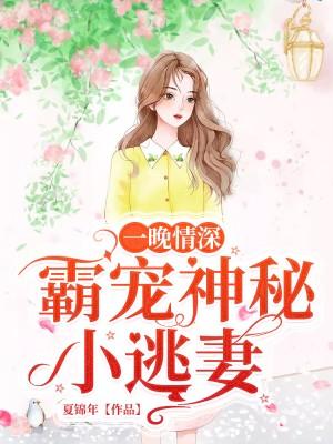 一晚情深：霸寵神秘小逃妻
