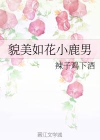 貌美如花小鹿男
