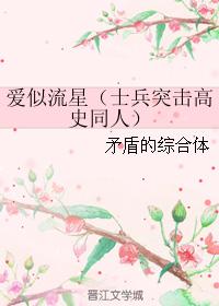 愛似流星
