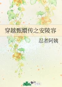 穿越甄嬛傳之安陵容
