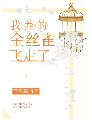 我養的金絲雀飛走了