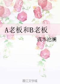 A老板和B老板
