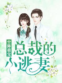 空降萌寶：總裁的小逃妻