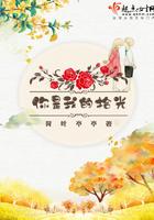你是我的拾光