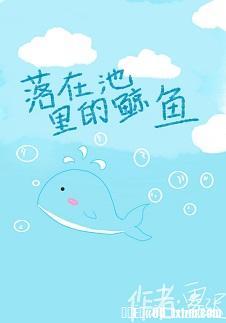落在池裏的鯨魚