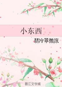 小東西