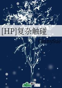 [HP]複雜觸碰