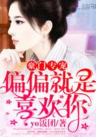 豪門專寵：偏偏就是喜歡你