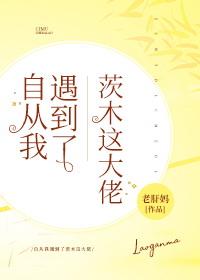 自從我遇到了茨木這大佬