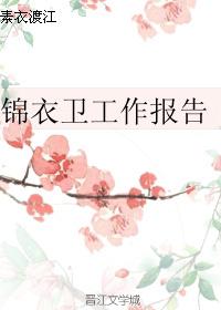 錦衣衛工作報告