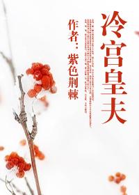 冷宮皇夫