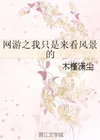 網游之我只是來看風景的