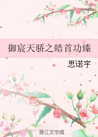 禦宸天驕之皓首功臻