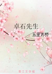 卓石先生