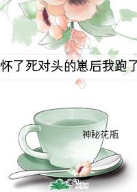 懷了死對頭的崽後我跑了