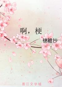 啊，梗