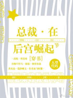 總裁在後宮崛起
