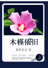 木槿依舊