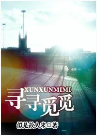 尋尋覓覓