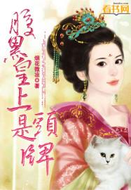 腹黑皇上是頭牌