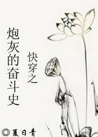 炮灰的奮鬥史