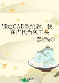 綁定CAD系統後，我在古代當包工頭