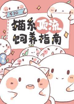 貓系頂流飼養指南