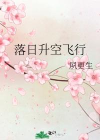 落日升空飛行