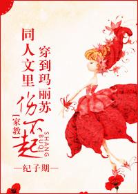 [家教]穿到瑪麗蘇同人文裏傷不起