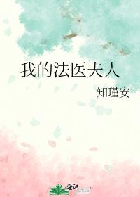 我的法醫夫人