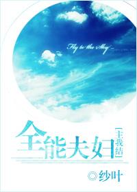 全能夫婦
