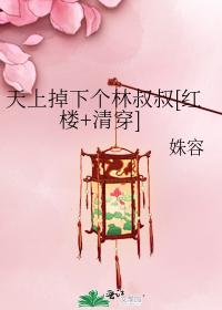 天上掉下個林叔叔[紅樓+清穿]