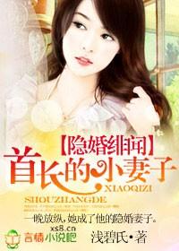 隐婚緋聞，名門小妻子