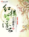 紅樓皆浮雲